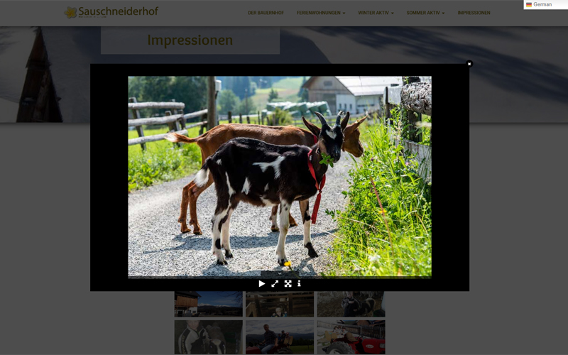 Styrolart Print und Webdesign - Biobauernhof Sauschneiderhof - Webdesign Websiteerstellung